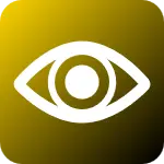 vision